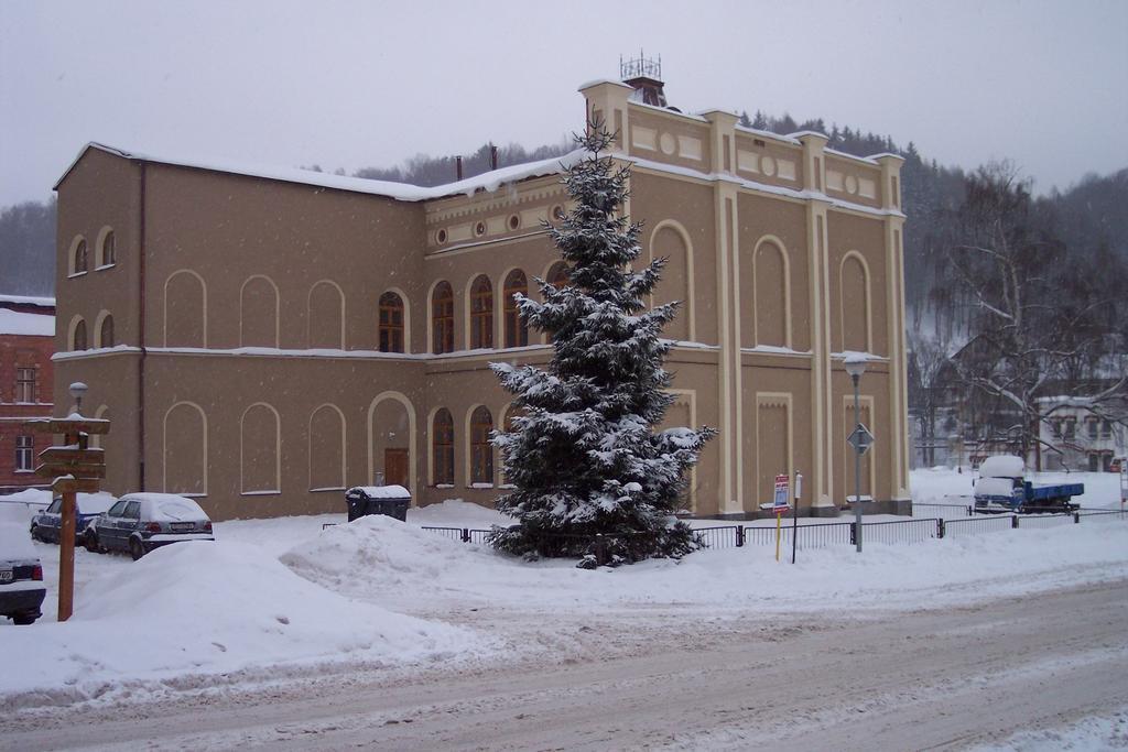 Appartement Stastna Trinactka à Svoboda nad Úpou Chambre photo